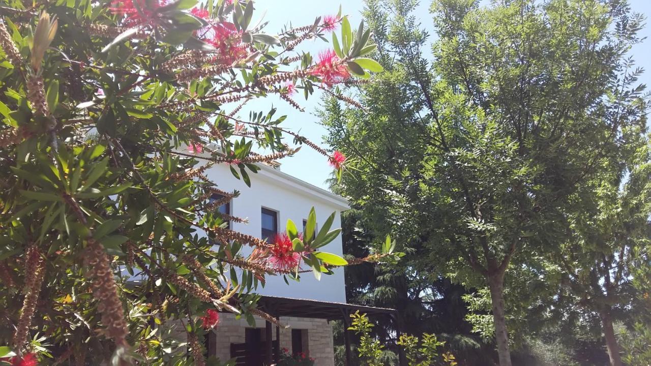 Sivota Apartments Athina Экстерьер фото